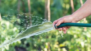 La sécheresse en Lozère pour la préfecture à imposer des mesures de restriction d'eau.