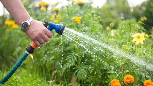 Des restrictions sur les usages de l'eau sont mises en place dans 40 communes de Haute-Garonne.