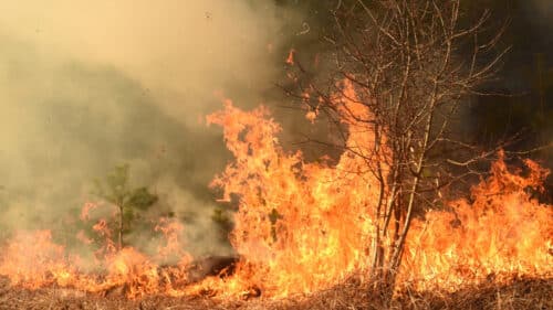 Un violant incendie est en cours dans l'Aude.
