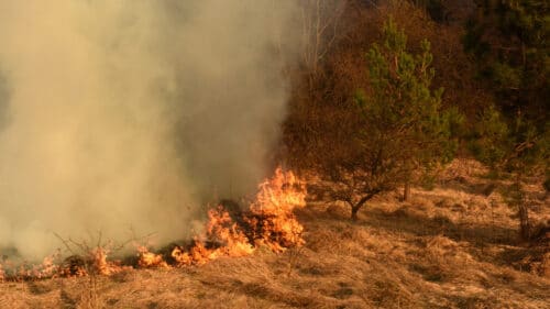 L’incendie qui a touché la commune de Ribaute, dans l’Aude, est désormais maîtrisé, mais une surveillance renforcée reste en place.