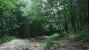 La préfecture de l’Aude prolonge l’interdiction d’accès aux massifs forestiers de la moitié Est du département jusqu’au 25 août.