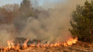 Un impotant incendie est toujours en cours dans l'Aude.