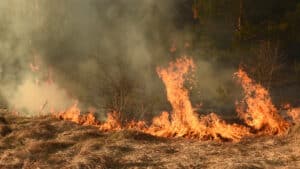 L'incendie dans l'Aude est toujours actif.