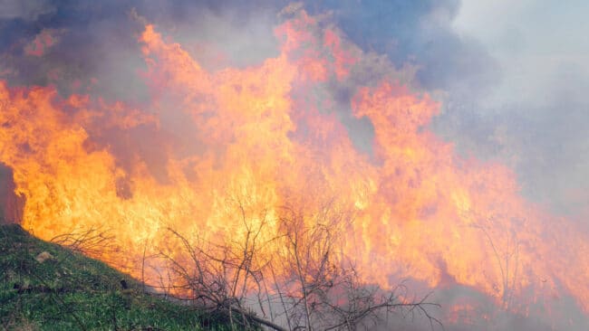 L'Aude est en vigilance rouge à cause du risque d'incendie considéré élevé.