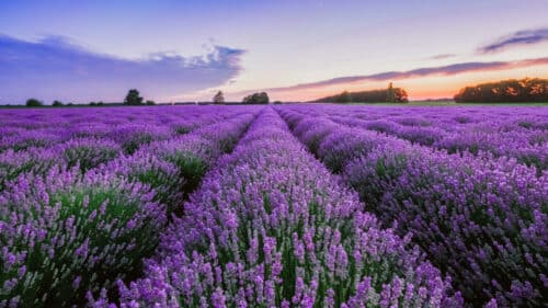 La fin des vacances d'été approche, mais il reste encore des sorties à faire dans les Alpes-de-Haute-Provence.