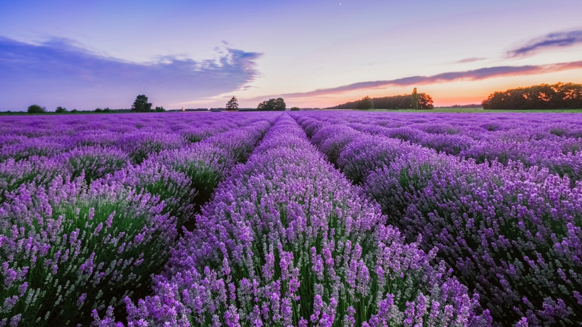 La fin des vacances d'été approche, mais il reste encore des sorties à faire dans les Alpes-de-Haute-Provence.