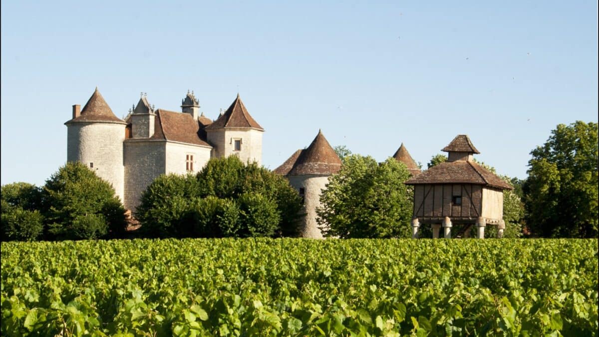 œnotourisme Occitanie vin