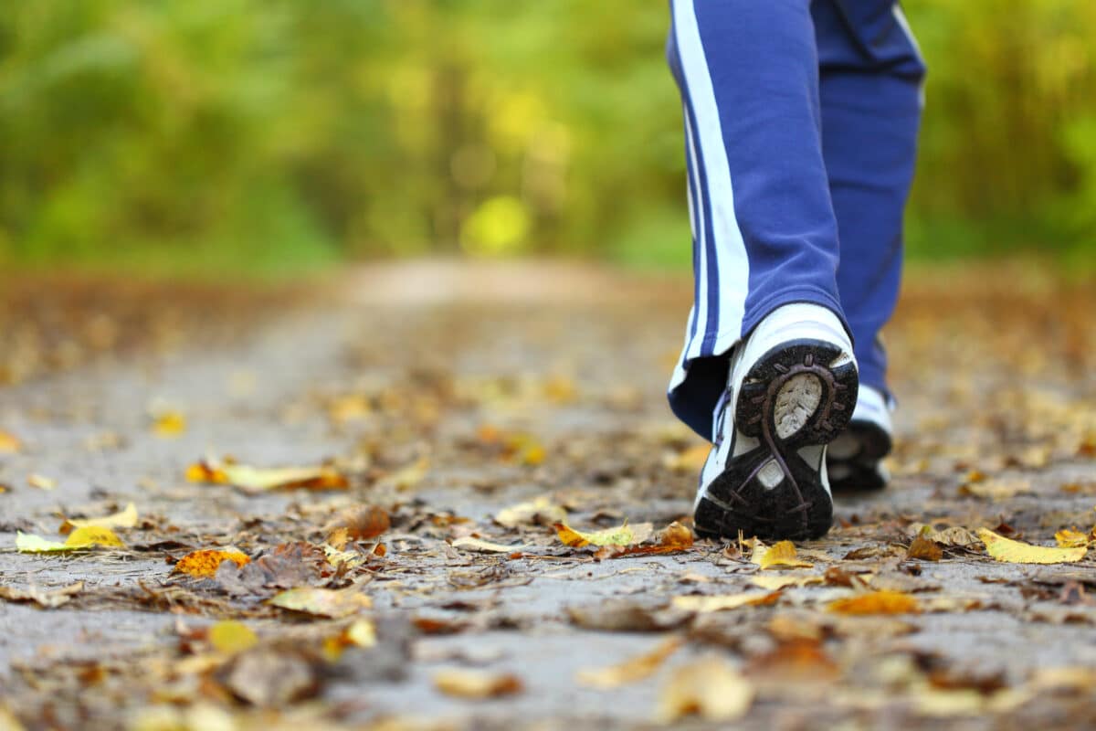 Une déambulation théâtralisée au Parc de la Guirlande.