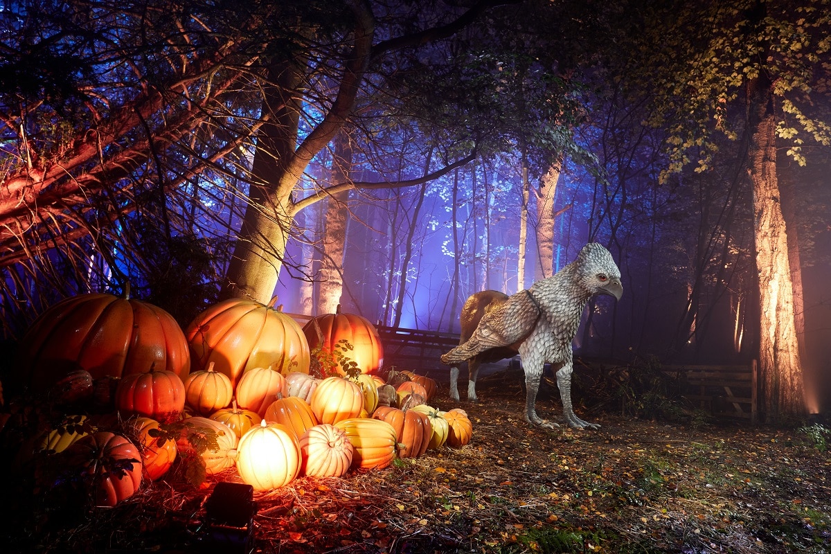 L'événement-spectacle "Harry Potter : L'Expérience en Forêt Interdite" avait enchanté les habitants de Montauban l'hiver dernier. 