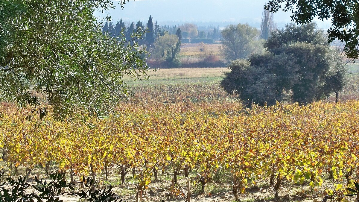 vin Gard domaines viticoles
