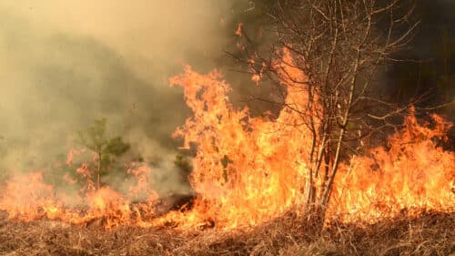 L’Aude investit 10 millions d’euros pour rebâtir les Corbières.