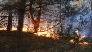 Cent-vingt-trois incendies de végétation ont été recensés dans le Lot depuis le début de l’année, pour un total de 109 hectares brûlés.