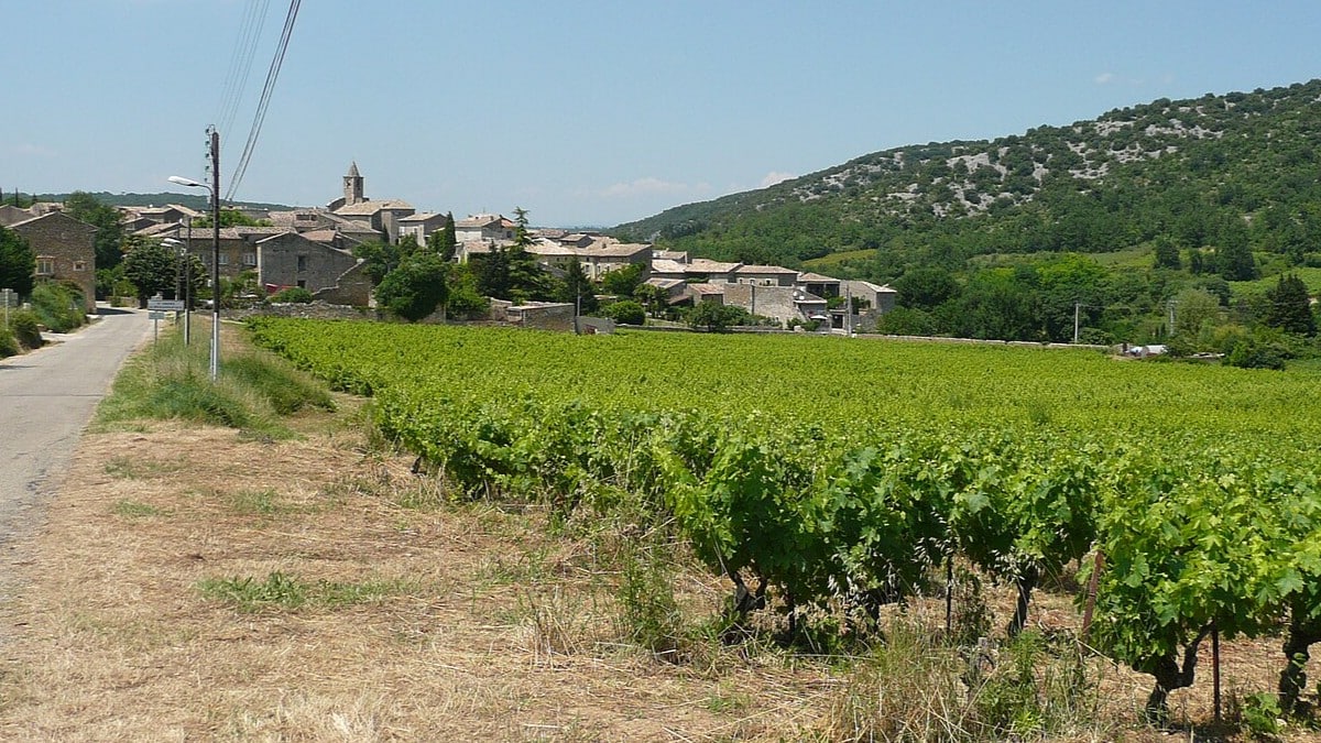 vin Gard domaines viticoles