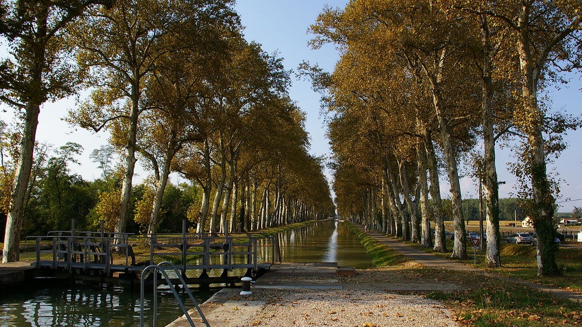 Le Canal de la Garonne traverse le Lot-et-Garonne, pour une visite inoubliable à vélo.