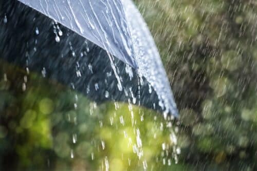 Tempête Benjamin : A Toulouse, de la pluie et des rafales pouvant atteindre entre 85 et 100 km/h sont attendues