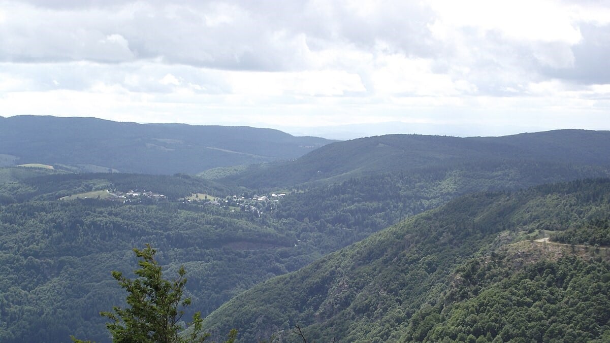 forêt Occitanie
