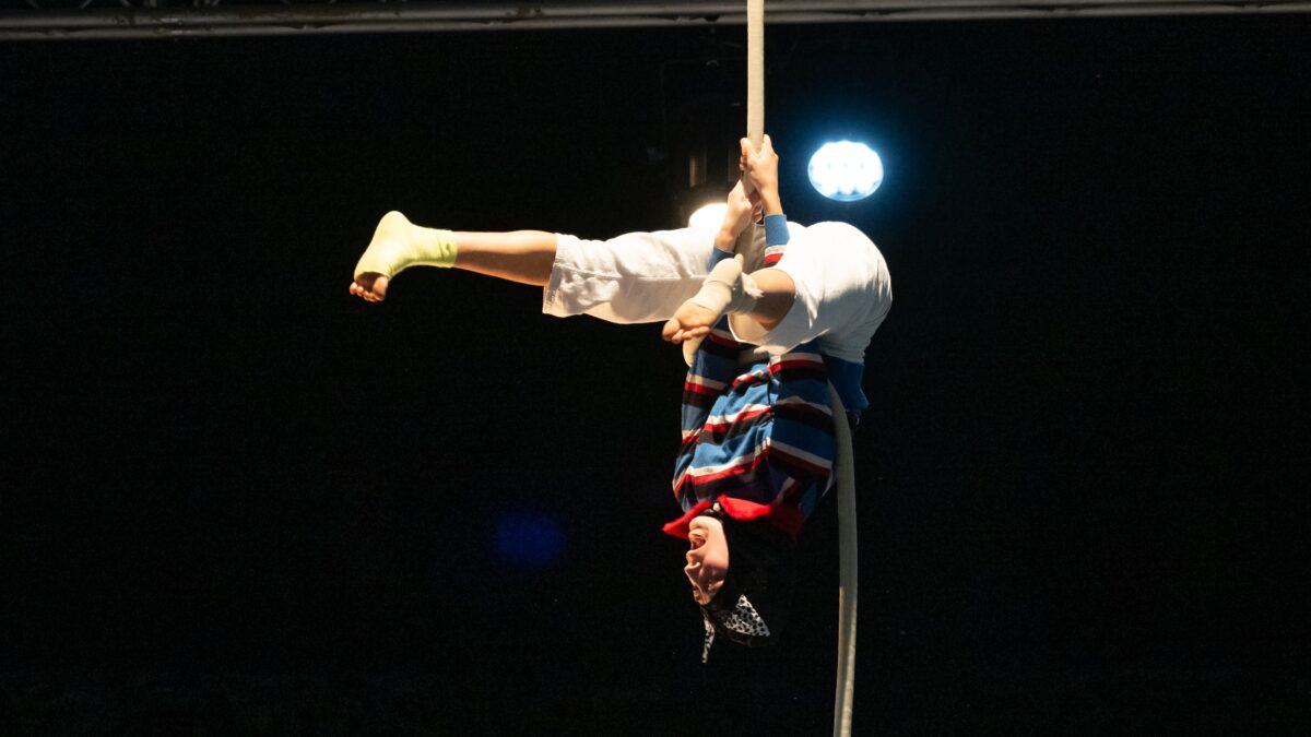 Le Labo Cirque propose à des étudiants, venus de cinq écoles différentes, d'exposer leurs talents au Festival Circa.