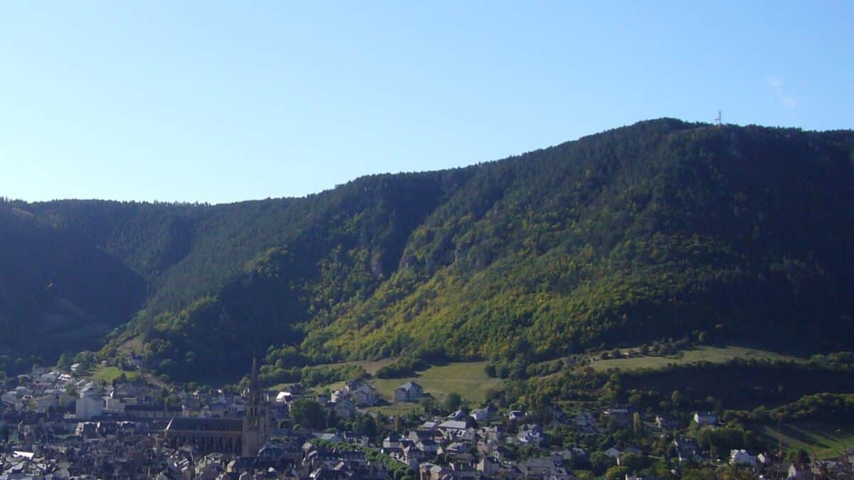 forêt Occitanie