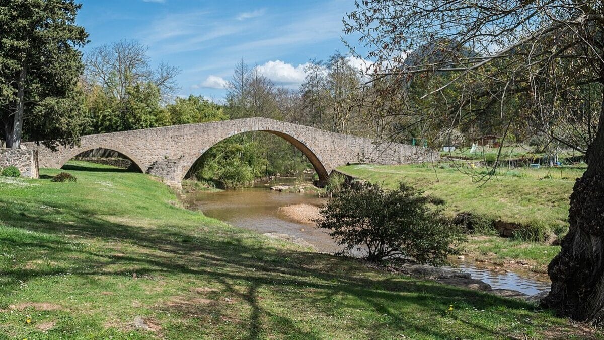 forêt Occitanie