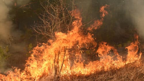La Haute-Garonne vote une aide de 60 000 euros pour les sinistrés de l'incendie dans l’Aude.