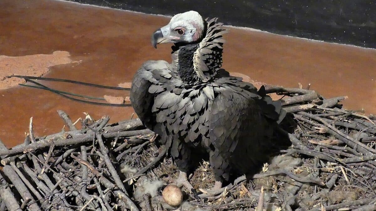 sortie Lozère visite