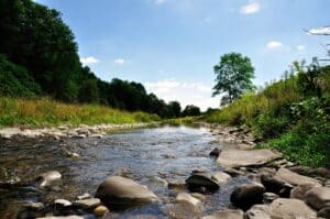 ruisseau